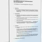 Vorlage Agb Onlineshop Einzigartig Vorlage Agb Lineshop Süß Agb Ebay Shop Als Muster Zum