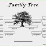 Vorlage Ahnentafel Kostenlos Beste Ahnentafel Vorlage 20 Bewundernswerte Abbildung Du Musst