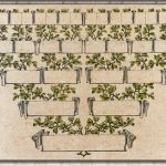 Vorlage Ahnentafel Kostenlos Fabelhaft Urkunden Ehrenurkunden Handgeschriebene Urkunden