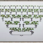 Vorlage Ahnentafel Schön Urkunden Ehrenurkunden Handgeschriebene Urkunden