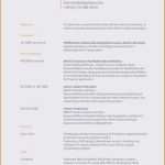 Vorlage Amerikanischer Lebenslauf Angenehm 15 Amerikanischer Lebenslauf