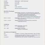 Vorlage Amerikanischer Lebenslauf Beste Lebenslauf Englisch Kenntnisse Die Fabelhaften Lebenslauf