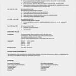 Vorlage Amerikanischer Lebenslauf Erstaunlich 15 Beispiel Amerikanischer Lebenslauf Resume Muster