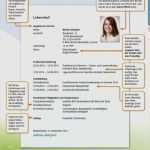 Vorlage Amerikanischer Lebenslauf Gut Amerikanischer Lebenslauf Vorlage Word Angenehm 100 Hsc