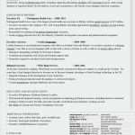 Vorlage Amerikanischer Lebenslauf Wunderbar 12 Anfrage Schreiben Englisch