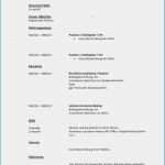 Vorlage Amerikanischer Lebenslauf Wunderbar Vorlage Amerikanischer Lebenslauf