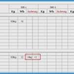 Vorlage änderung Bankverbindung Süß Nett Trainingstagebuch Vorlage Excel Zeitgenössisch
