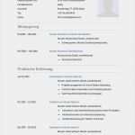 Vorlage Anfrage Rückkaufswert Lebensversicherung Großartig Lebenslauf Muster Für Krankenpfleger
