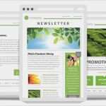 Vorlage Anmeldung Newsletter Erstaunlich Freie E Mail Newsletter Templates Und Wie Man Sie Einsetzt