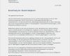 Vorlage Anschreiben Initiativbewerbung Elegant Muster Bewerbungsschreiben Bewerbungsanschreiben 2019