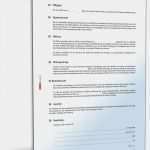 Vorlage Antrag Ratenzahlung Gericht Süß Berühmt Vorlage Für Ratenzahlung Galerie Beispiel