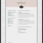 Vorlage Applikation Hübsch Die 25 Besten Ideen Zu Lebenslauf Auf Pinterest