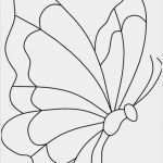 Vorlage Applikation Wunderbar 315 Kostenlos Applikation Schmetterling Vorlage