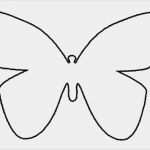 Vorlage Applikation Wunderbar Schmetterling Applikation Vorlage