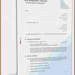 Vorlage Arbeitsanweisung Handyverbot Best Of Vorlage Arbeitsanweisung Handyverbot Inhaltsverzeichnis