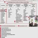 Vorlage Arbeitsanweisung Handyverbot Inspiration Vorlage Arbeitsanweisung Handyverbot Inspiration