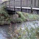 Vorlage Ausschreibung Dienstleistung Großartig Detailplanung