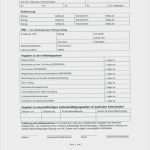 Vorlage Ausweis Cool Ausweis Vorlage Word