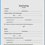 Vorlage Autoverkauf Privat Fabelhaft Reinigungsplan Kuche Gastronomie