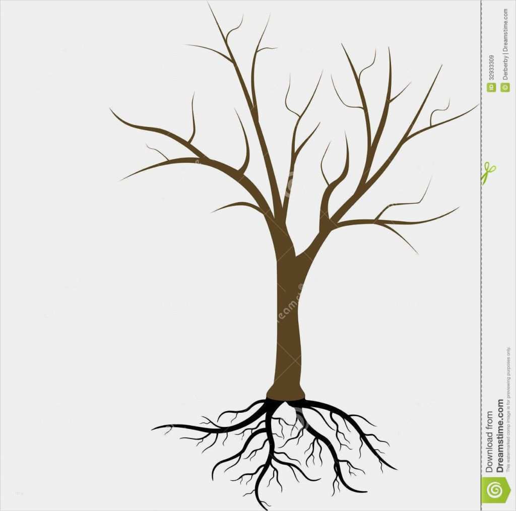32 Inspiration Vorlage Baum Ohne Blätter Bilder | siwicadilly.com