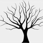 Vorlage Baum Ohne Blätter Beste Stamm Silhouette Season Stock Vektor