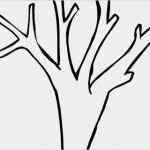 Vorlage Baum Ohne Blätter Bewundernswert 15 Bastelvorlage Baum Ohne Blätter