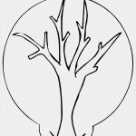 Vorlage Baum Ohne Blätter Genial Baum Ohne Blaetter Ausmalbild &amp; Malvorlage Ics