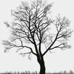 Vorlage Baum Ohne Blätter Schön Hallooo Welches Tattoo Passt Dazu Baum Vorlage