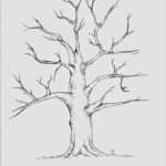 Vorlage Baum Ohne Blätter Schönste Hochzeitsbaum Wedding Tree