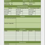 Vorlage Bautagesbericht Gut Excel Vorlage Für Ein Bautagebuch