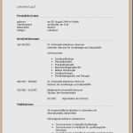 Vorlage Bedienungsanleitung Elegant Beste Handbuch Vorlage Word Zeitgenössisch Beispiel