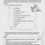 Vorlage Bedienungsanleitung Inspiration 15 Schmuckblatt Mit Linien