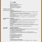 Vorlage Bericht Schreiben Fabelhaft 17 Muster Unfallbericht