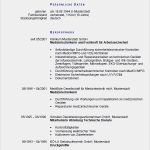 Vorlage Bericht Sicherheitsfachkraft Großartig Bewerbung Fachkraft Für Arbeitssicherheit Ungekündigt