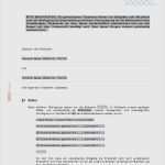 Vorlage Berliner Testament Kostenlos Schön Vorlage
