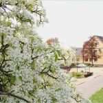 Vorlage Bestätigung Kostenübernahme Hotel Großartig Zimmerpreise