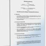 Vorlage Betriebsvereinbarung Einzigartig Betriebsvereinbarung Einigungsstellenverfahrens Muster