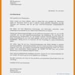 Vorlage Bewerbung Absage Erstaunlich 11 Bewerbung Absage Vorlage