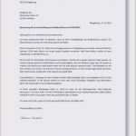 Vorlage Bewerbung Ausbildung Verkäuferin Erstaunlich 21 Bewerbung Ausbildung Verkäuferin Lidl