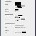 Vorlage Bewerbung Aushilfe Hübsch Bewerbung Aushilfe Lebenslauf Beispiel