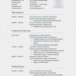 Vorlage Bewerbung Bürokauffrau Initiativbewerbung Neu Initiativbewerbung Muster Für Lkw Fahrer