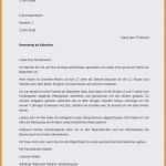 Vorlage Bewerbung Fsj Fabelhaft 14 Ferienjob Lebenslauf