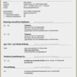 Vorlage Bewerbung Industriemechaniker Ausbildung Elegant 42 Architektur Lebenslauf Industriemechaniker