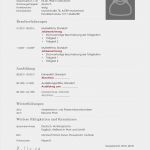 Vorlage Bewerbung Lebenslauf Elegant Kostenlose Lebenslauf Muster Und Vorlagen Für Deine