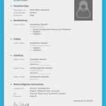 Vorlage Bewerbung Lebenslauf Erstaunlich Lebenslauf Vorlage Ausbildung Kostenloser Download