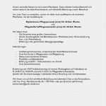 Vorlage Bewerbung Pflegehelferin Einzigartig 40 Luxus Bewerbung Examinierte Pflegefachkraft Muster