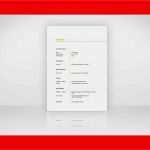 Vorlage Bewerbung Produktionshelfer Erstaunlich 21 Lebenslauf Vordruck Designvorlagen