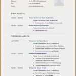 Vorlage Bewerbung Vertrieb Beste 17 Vorlage Bewerbung Vertrieb