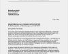 Vorlage Bewerbung Vertrieb Luxus Bewerbung Als Handelsvertreter Handelsvertreterin