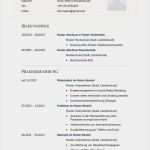 Vorlage Bewerbung Vertrieb Schönste Die Besten 25 Lebenslauf Design Ideen Auf Pinterest